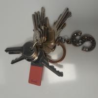 CS1165/2025 BUNCH OF KEYS